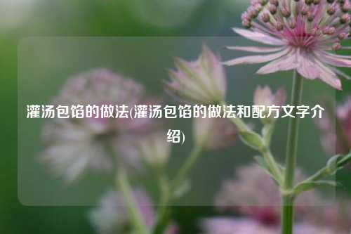 灌汤包馅的做法(灌汤包馅的做法和配方文字介绍)