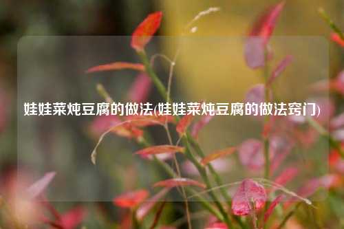 娃娃菜炖豆腐的做法(娃娃菜炖豆腐的做法窍门)