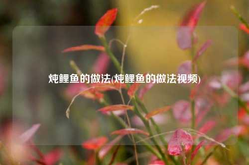 炖鲤鱼的做法(炖鲤鱼的做法视频)