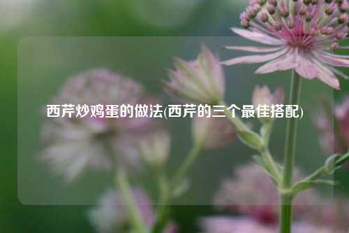 西芹炒鸡蛋的做法(西芹的三个最佳搭配)