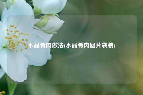 水晶肴肉做法(水晶肴肉图片袋装)