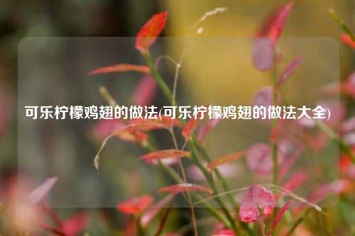 可乐柠檬鸡翅的做法(可乐柠檬鸡翅的做法大全)