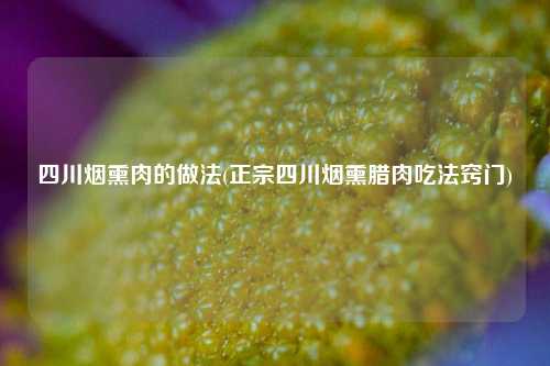 四川烟熏肉的做法(正宗四川烟熏腊肉吃法窍门)