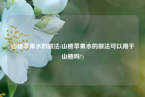 山楂苹果水的做法(山楂苹果水的做法可以用干山楂吗?)