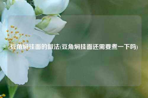 豆角焖挂面的做法(豆角焖挂面还需要煮一下吗)