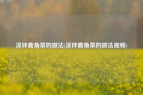 凉拌鹿角菜的做法(凉拌鹿角菜的做法视频)