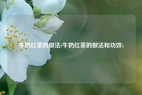 牛奶红茶的做法(牛奶红茶的做法和功效)
