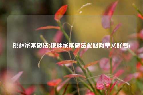 桃酥家常做法(桃酥家常做法配图简单又好看)