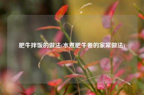 肥牛拌饭的做法(水煮肥牛卷的家常做法)